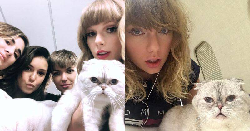 Instagram.com/taylorswift